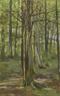 Small_4074362