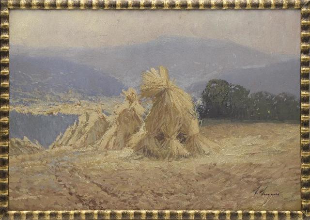 Large_4074457
